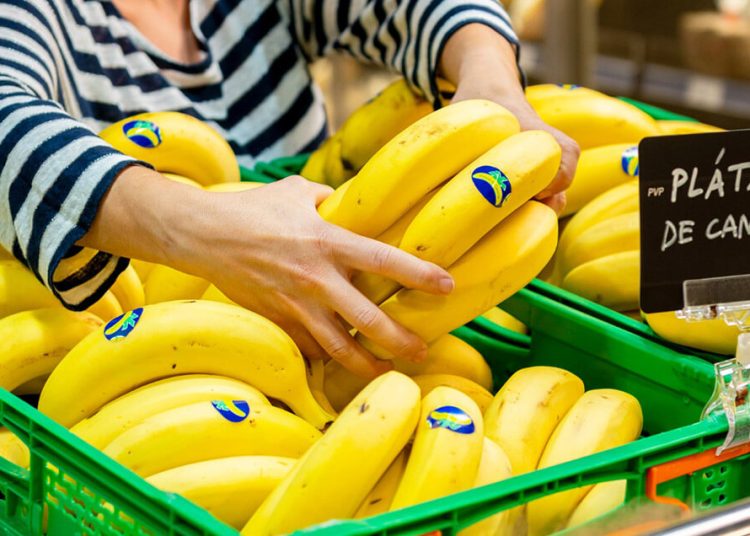 Plátano de Canarias IGP cerró 2025 con un 65,3% de cuota valor de la categoría. Fuente: Plátano de Canarias.