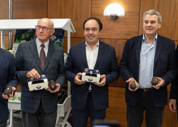Nace la nueva marca de promoción ‘Aguacate Valenciano’ . Fuente: ASOPROA.
