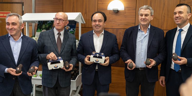 Nace la nueva marca de promoción ‘Aguacate Valenciano’ . Fuente: ASOPROA.