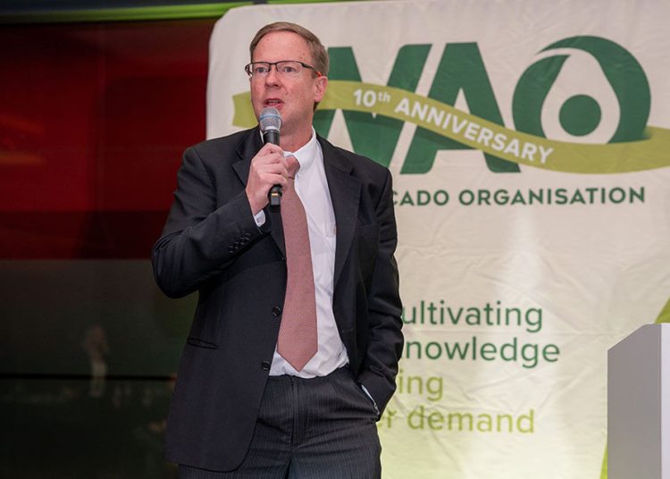 El mercado europeo de aguacate creció en volumen un 16% en 2025. Fuente: WAO.