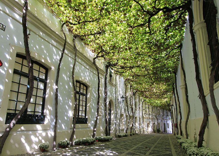 González Byass logra importantes avances en materia de sostenibilidad. Fuente: González Byass.