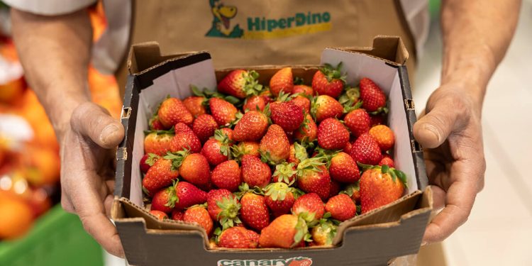 HiperDino destinó el pasado año cuatro millones a la compra de fresas. Fuente: HiperDino.