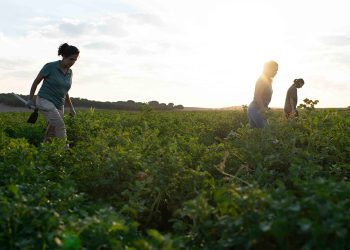 Patatas Meléndez promueve el liderazgo femenino rural. Fuente: Patatas Meléndez.