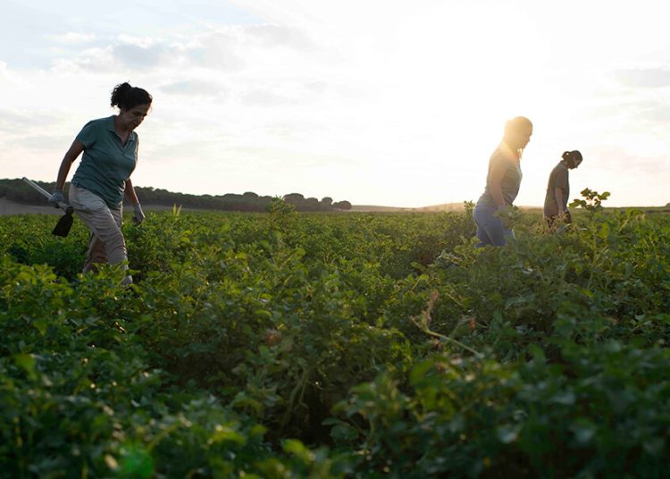 Patatas Meléndez promueve el liderazgo femenino rural. Fuente: Patatas Meléndez.