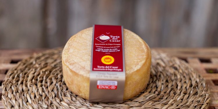 La DOP Torta del Casar redujo a 480.362 las unidades de quesos certificados en 2025. Fuente: DOP Torta del Casar.