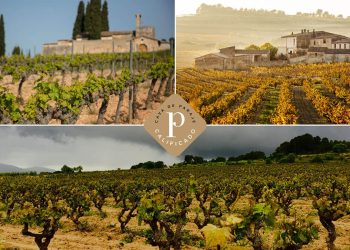 Aprobados cinco nuevos Cavas de Guarda Superior de Paraje Calificado . Fuente: DO Cava.