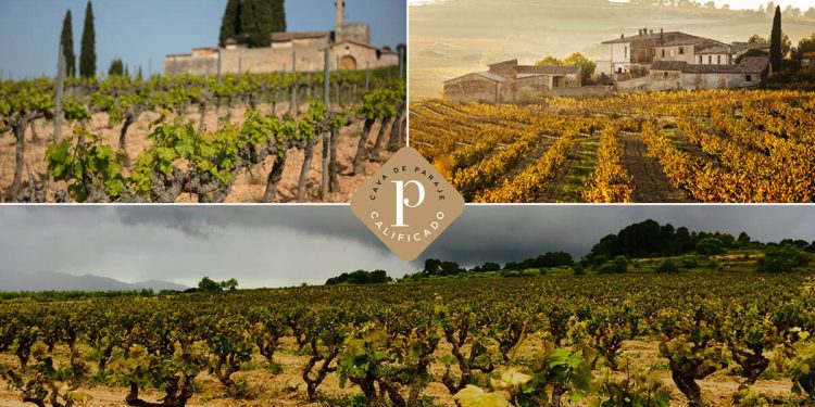 Aprobados cinco nuevos Cavas de Guarda Superior de Paraje Calificado . Fuente: DO Cava.