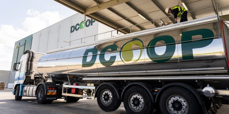 El Grupo Dcoop incrementó sus exportaciones un 10,1% en 2025. Fuente: Dcoop.