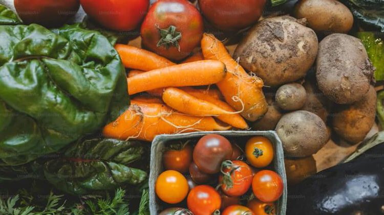 Las exportaciones hortofrutícolas han caído en volumen pero han ganado en valor en los últimos cinco años. Fuente: Fepex.