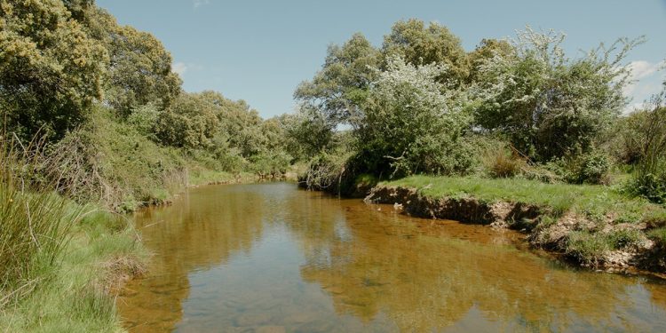 Nestlé Waters promueve la regeneración de agua a través de diversos proyectos. Fuente: Nestlé.