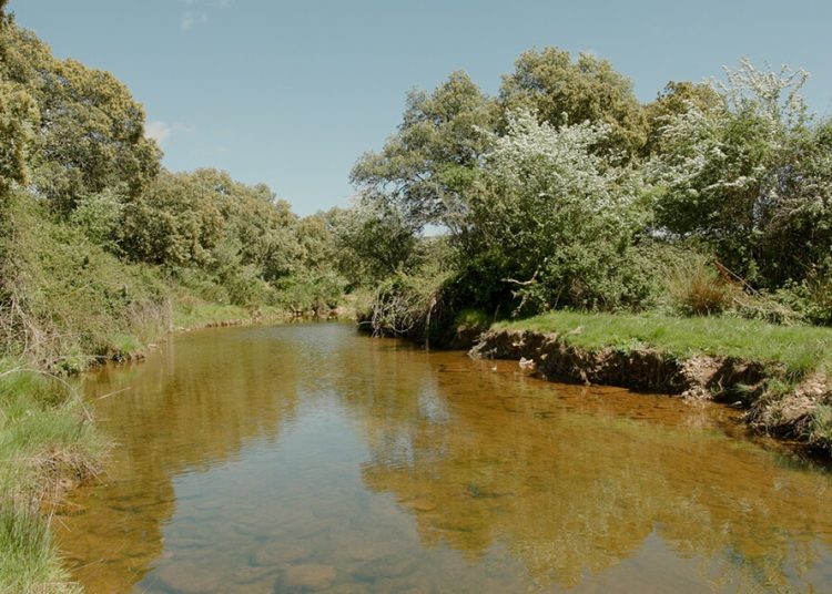 Nestlé Waters promueve la regeneración de agua a través de diversos proyectos. Fuente: Nestlé.