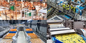 Somos Hijolusa aumenta su facturación un 7% en 2025 y supera los 260 millones. Fuente: Somos Hijolusa.