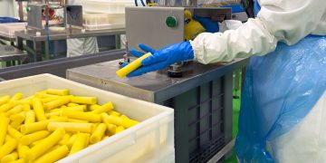 Vicente Peris avanza en su estrategia de reaprovechamiento de subproductos. Fuente: Vicente Peris.