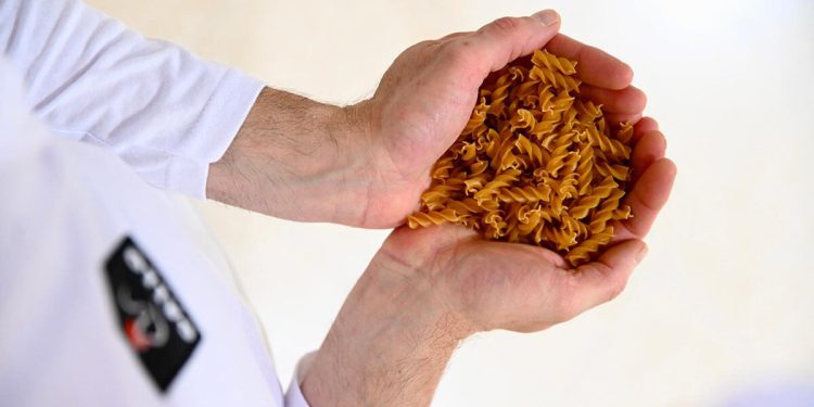 Gallo incrementó la producción de pasta sin gluten un 8% en 2025. Fuente: Grupo Gallo.