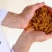 Gallo incrementó la producción de pasta sin gluten un 8% en 2025. Fuente: Grupo Gallo.
