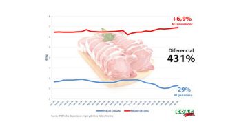 COAG asegura que los supermercados no trasladan al consumidor la caída del 29% de la carne de cerdo. Fuente: COAG.