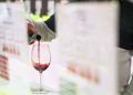 Fenavin Match reforzará el papel del vino español en el mercado vinícola de Hungría. Fuente: Fenavin Match.