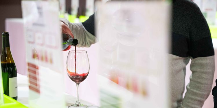 Fenavin Match reforzará el papel del vino español en el mercado vinícola de Hungría. Fuente: Fenavin Match.