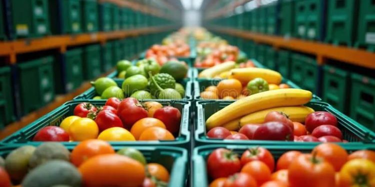 La importación de frutas y hortalizas crece un 4% en volumen hasta marzo, Fuente: Fepex.