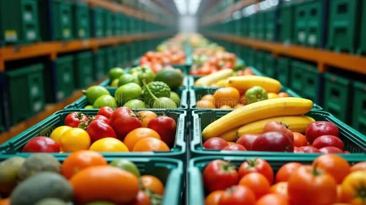 La importación de frutas y hortalizas crece un 4% en volumen hasta marzo, Fuente: Fepex.