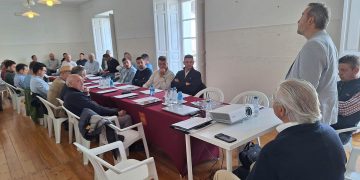 El sector de ajo advierte que el auge de las importaciones está provocando una caída de su competitividad. Fuente: Cooperativas Agro-alimentarias.