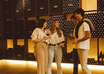 La DOCa Rioja logra más de un millón de visitas en 2025. Fuente: DOCa Rioja.