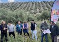 VivaOliva sigue fomentando la agricultura regenerativa en Jaén con la formación de agricultores. Fuente: PepsiCo.