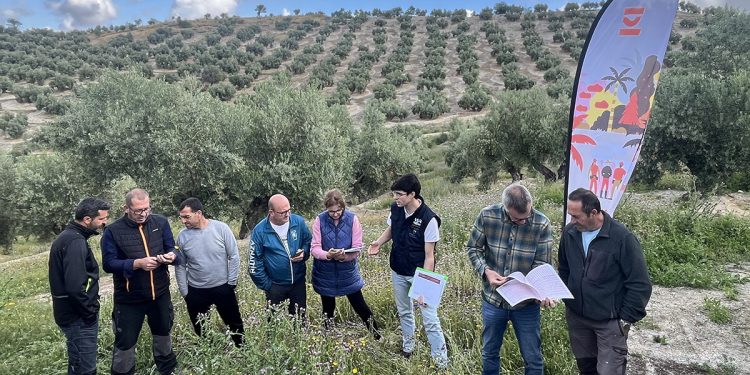 VivaOliva sigue fomentando la agricultura regenerativa en Jaén con la formación de agricultores. Fuente: PepsiCo.