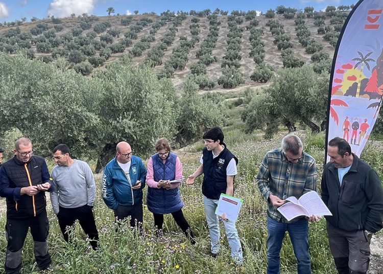 VivaOliva sigue fomentando la agricultura regenerativa en Jaén con la formación de agricultores. Fuente: PepsiCo.