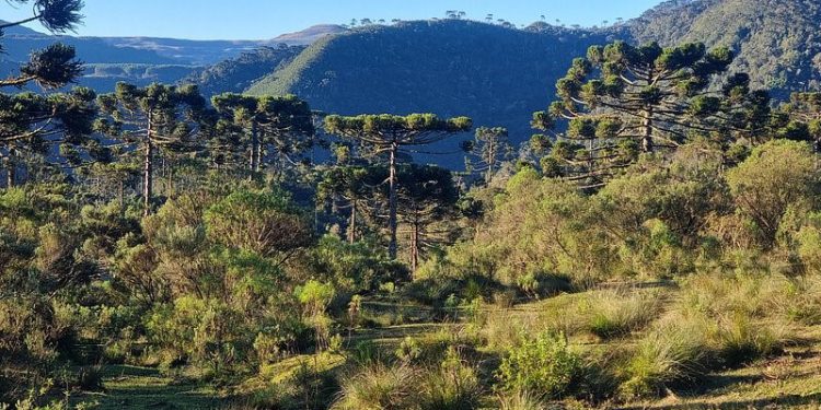Tetra Pak refuerza su compromiso con la protección de la naturaleza. Fuente: Tetra Pak.