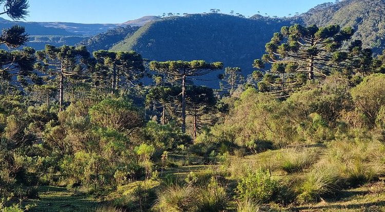 Tetra Pak refuerza su compromiso con la protección de la naturaleza. Fuente: Tetra Pak.