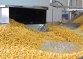 Autor Foods logra reducir un 60% el consumo de agua en la producción de legumbres cocidas. Fuente: Autor Foods.
