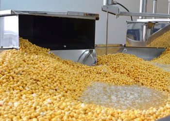 Autor Foods logra reducir un 60% el consumo de agua en la producción de legumbres cocidas. Fuente: Autor Foods.
