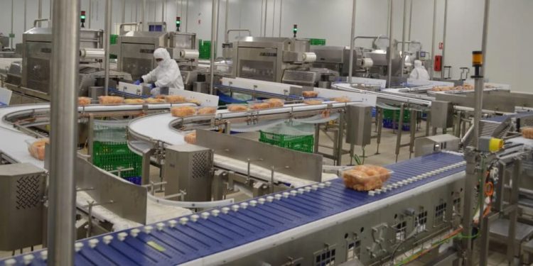 Vall Companys aumenta su facturación un 11% en 2025 hasta los 4.626 millones. Fuente: Grupo Vall Companys.