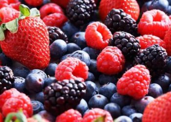 La campaña de frutos rojos finaliza con un descenso en la producción y exportación. Fuente: Fepex.