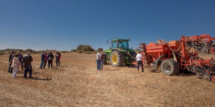 Heineken España e InterMalta se unen para fomentar la agricultura regenerativa. Fuente: Heineken España.