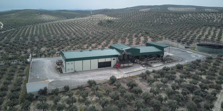 Almazara cordobesa Cañada de Santa Rita. Fuente: Interóleo.
