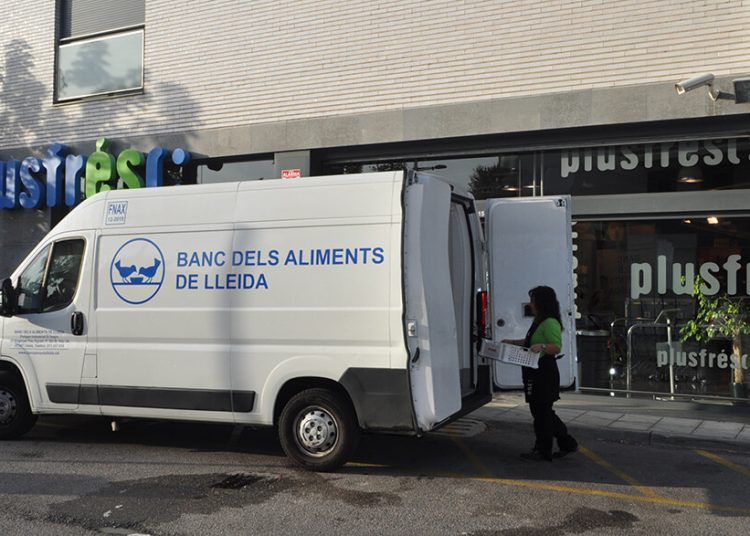 Recogida de alimentos. Fuente: Plusfresc.