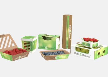 Smurfit Westrock transforma el mercado de envases hortofrutícolas con innovadoras soluciones. Fuente: Smurfit Westrock.