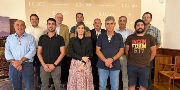 La DO Cava crea un plan para garantizar la sostenibilidad del viñedo y el conjunto del sector. Fuente: DO Cava.