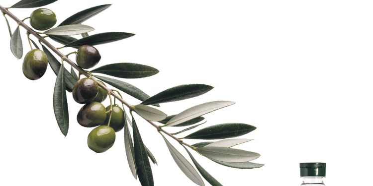 ORIVA destaca la procedencia del aceite de orujo de oliva en su nueva campaña. Fuente: ORIVA.