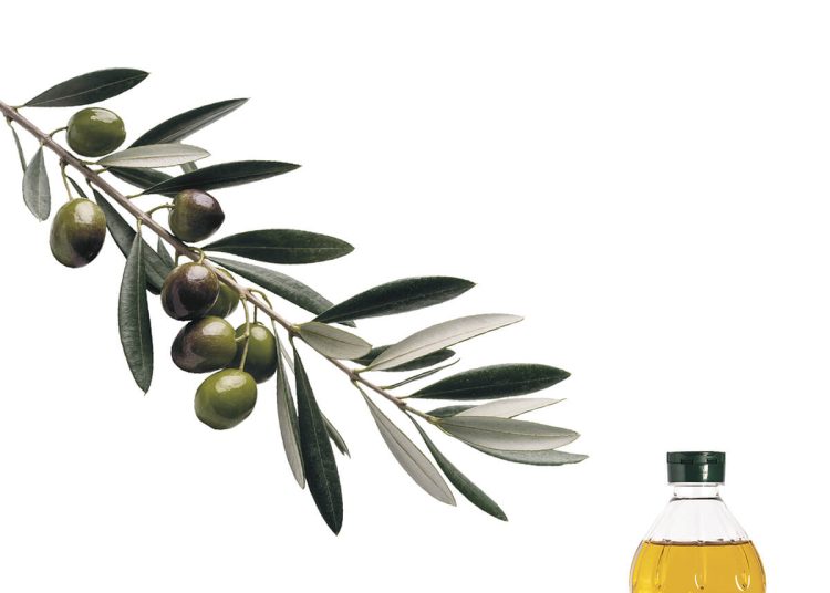 ORIVA destaca la procedencia del aceite de orujo de oliva en su nueva campaña. Fuente: ORIVA.