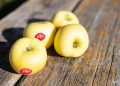Manzanas Yello. Fuente: Consorcios VOG y VIP